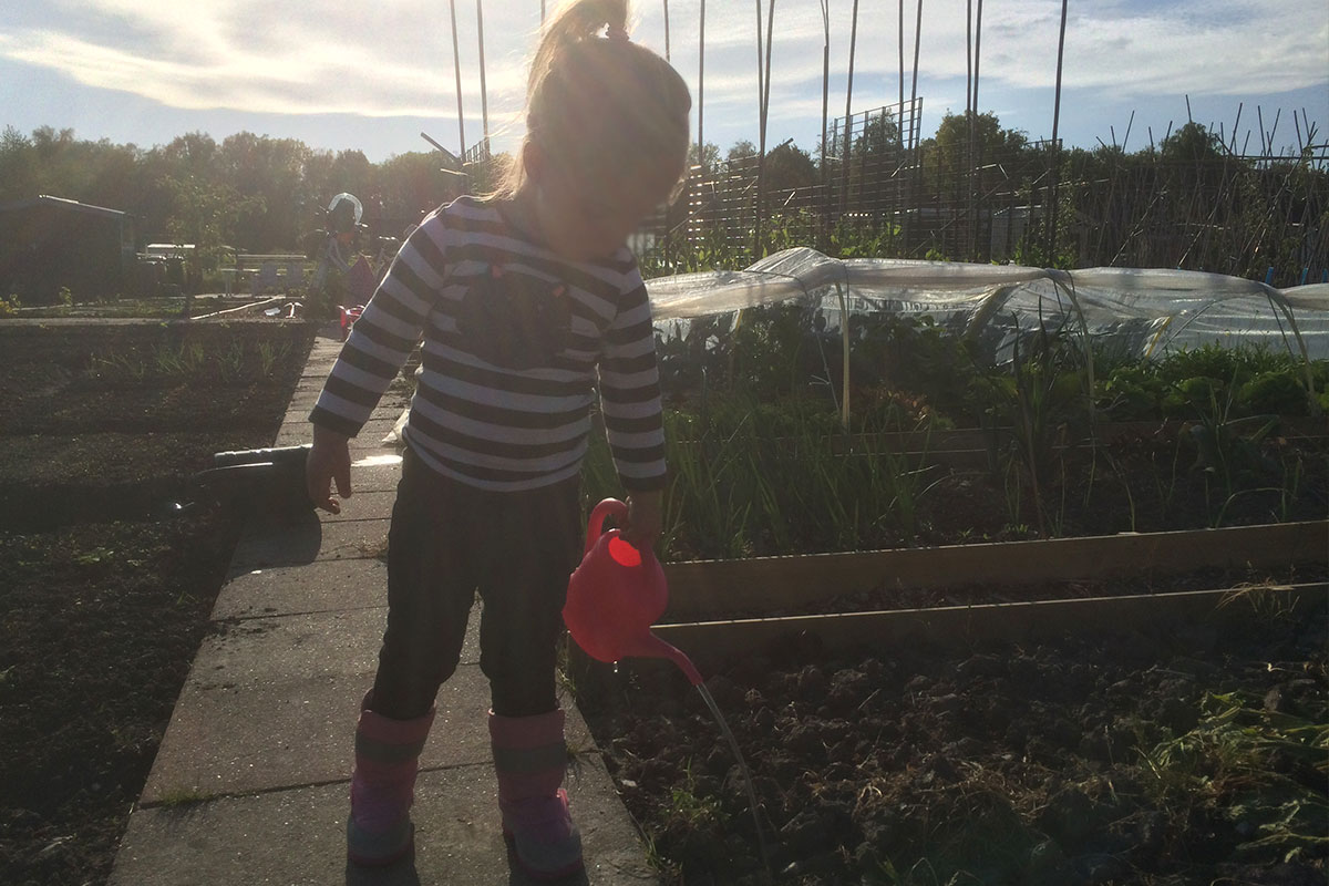 moestuinieren met kinderen