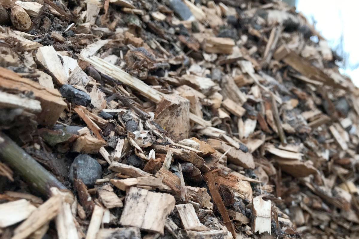5 redenen om houtsnippers te gebruiken in de moestuin