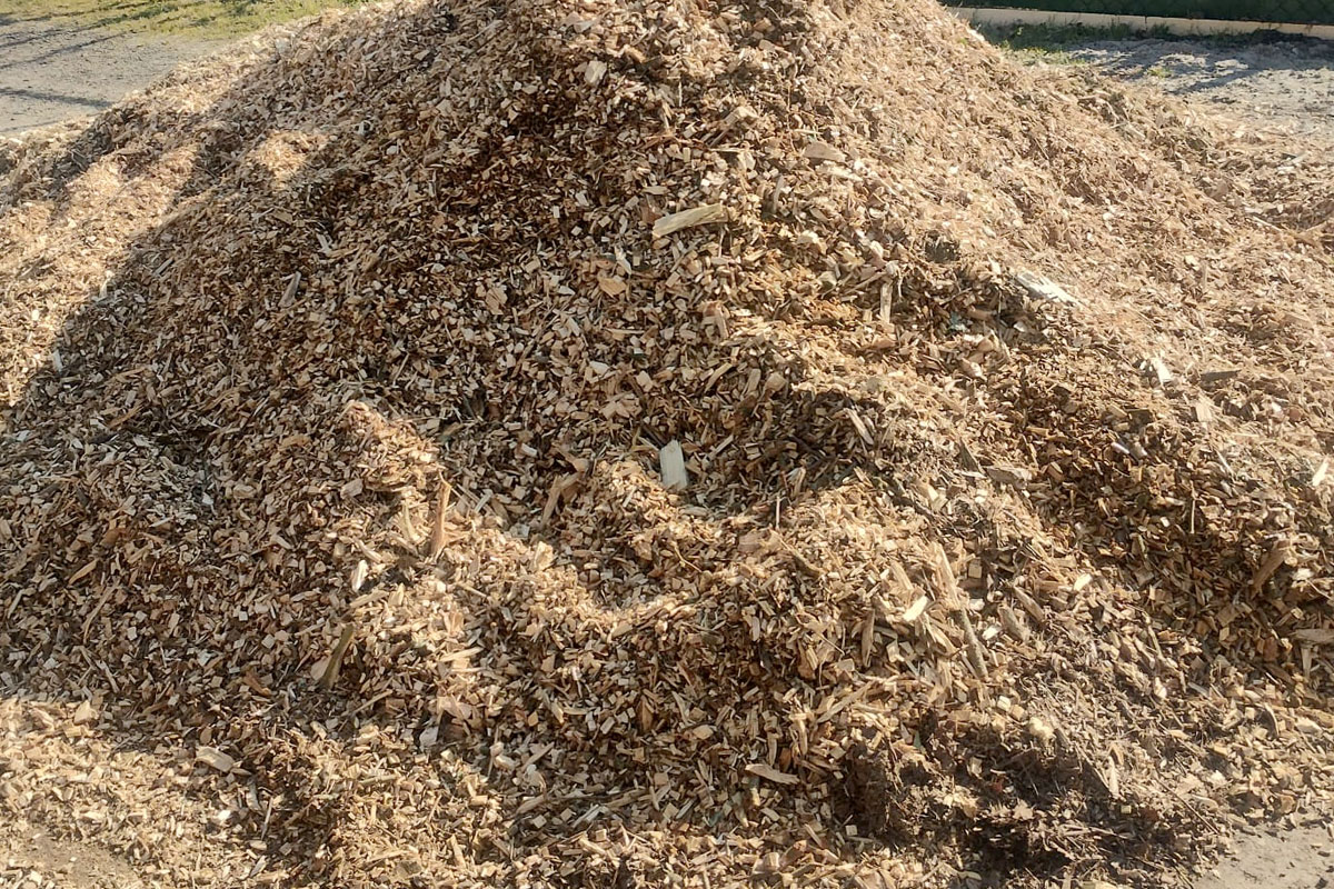 houtsnippers onder aardbeien