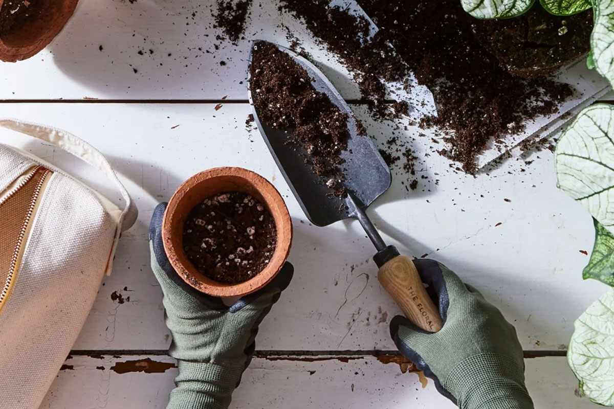 moestuin cadeaupakket