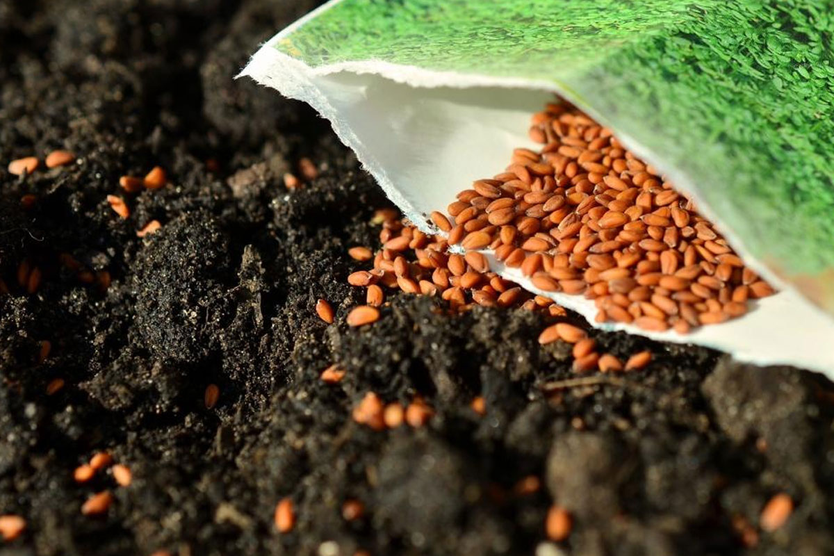 Moestuin zaden cadeau
