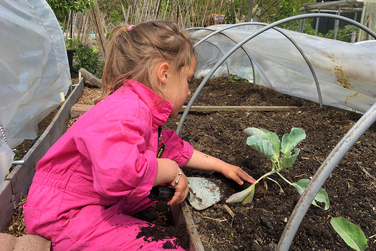 moestuinbedden aanleggen