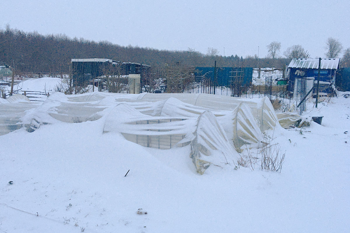 Moestuinieren in de winter