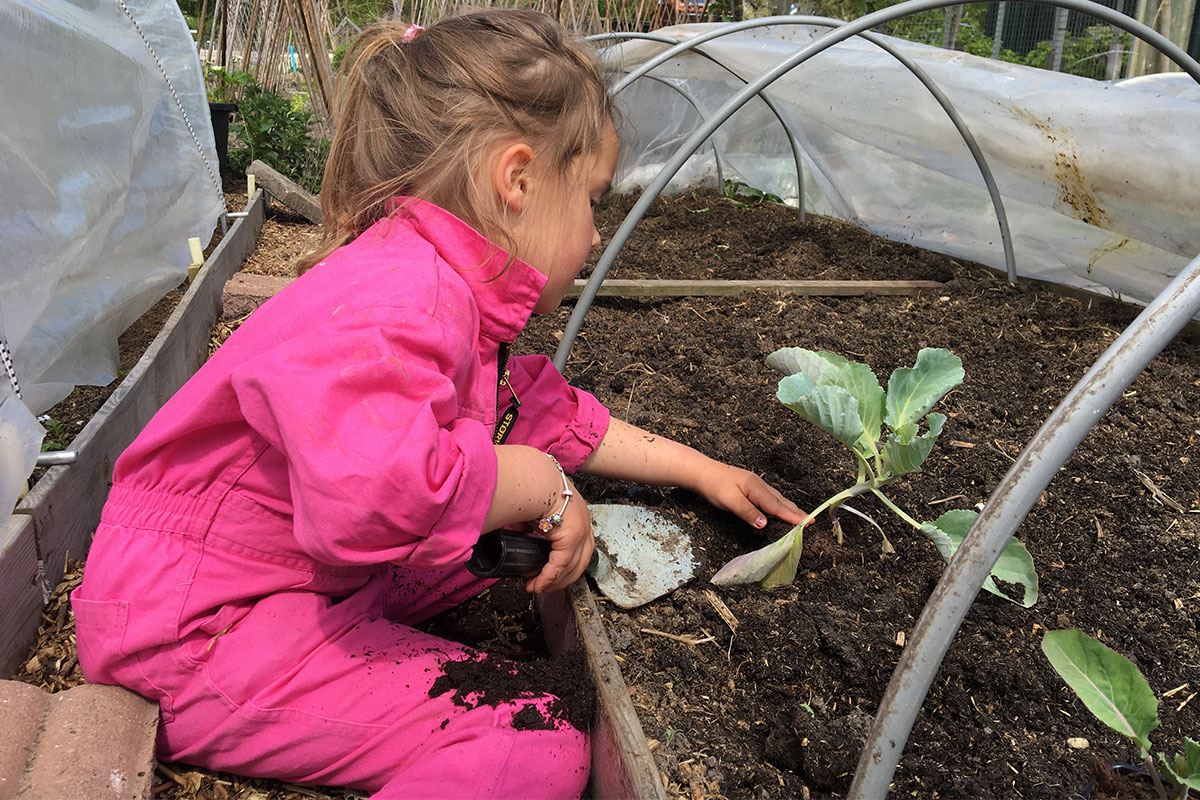 Moestuinklusjes voor kinderen