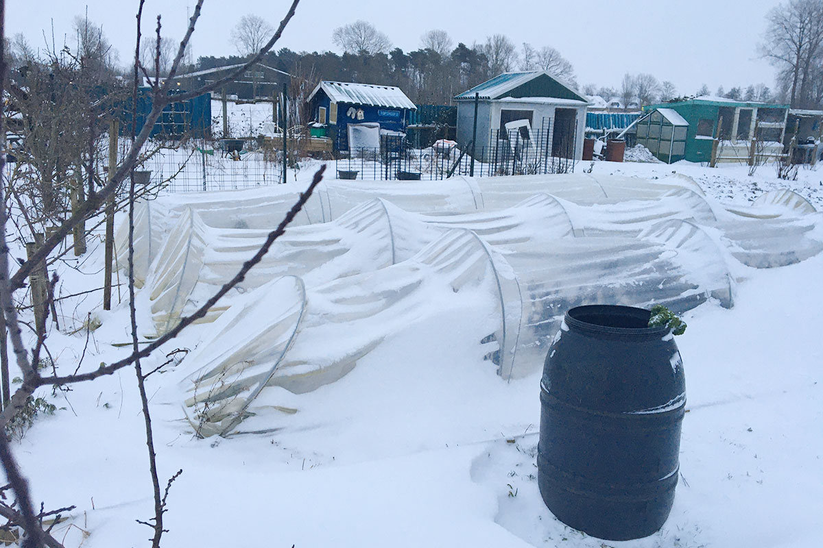 moestuin winterklaar maken