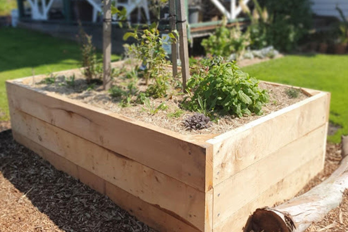 moestuinbak maken stap voor stap