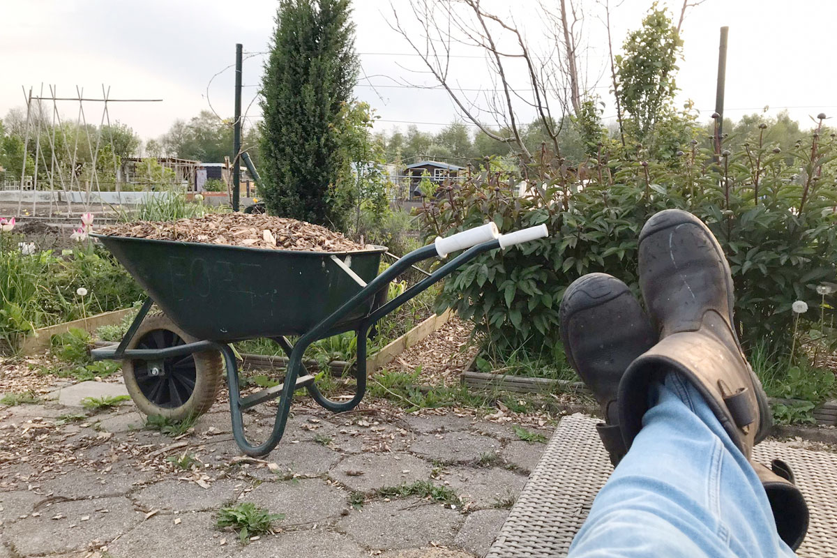 waarom een moestuin ontspannen is