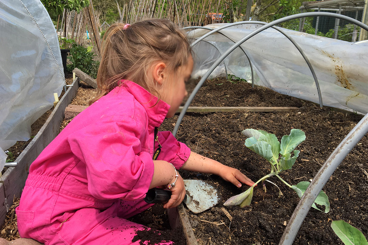 over een moestuin