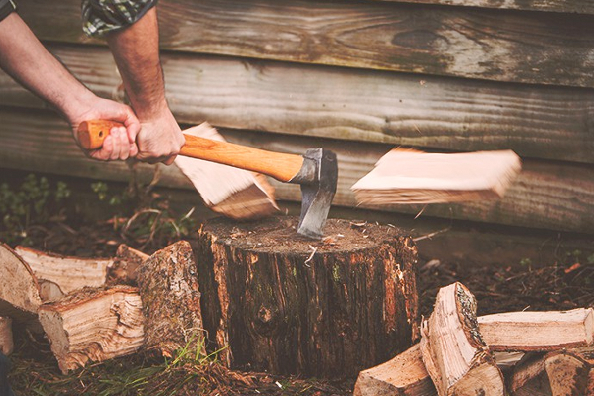 houthakken voor beginners