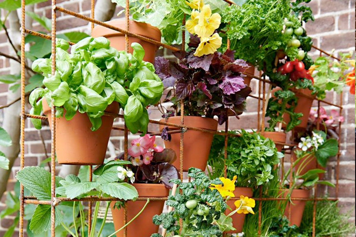 Hangende moestuin balkon