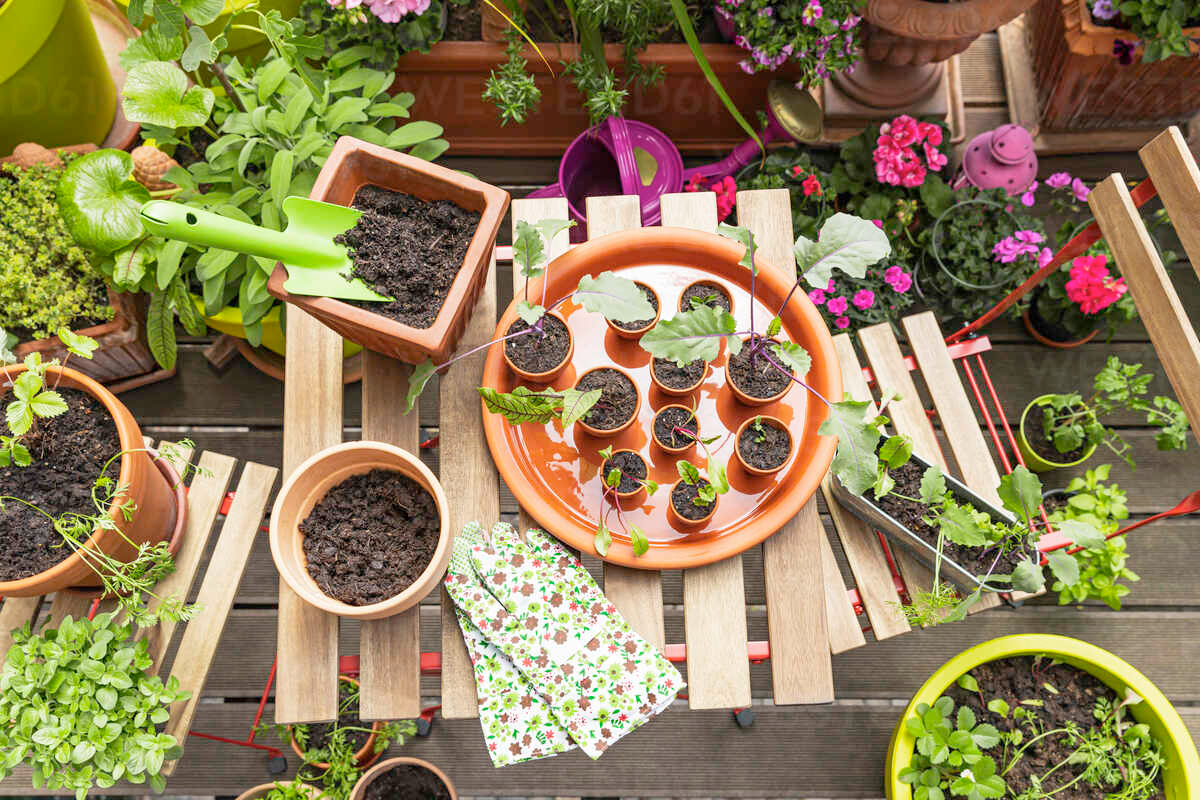 Moestuin aanleggen balkon