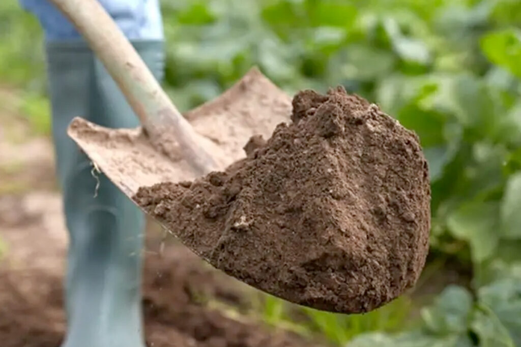 Moestuin kleigrond verbeteren