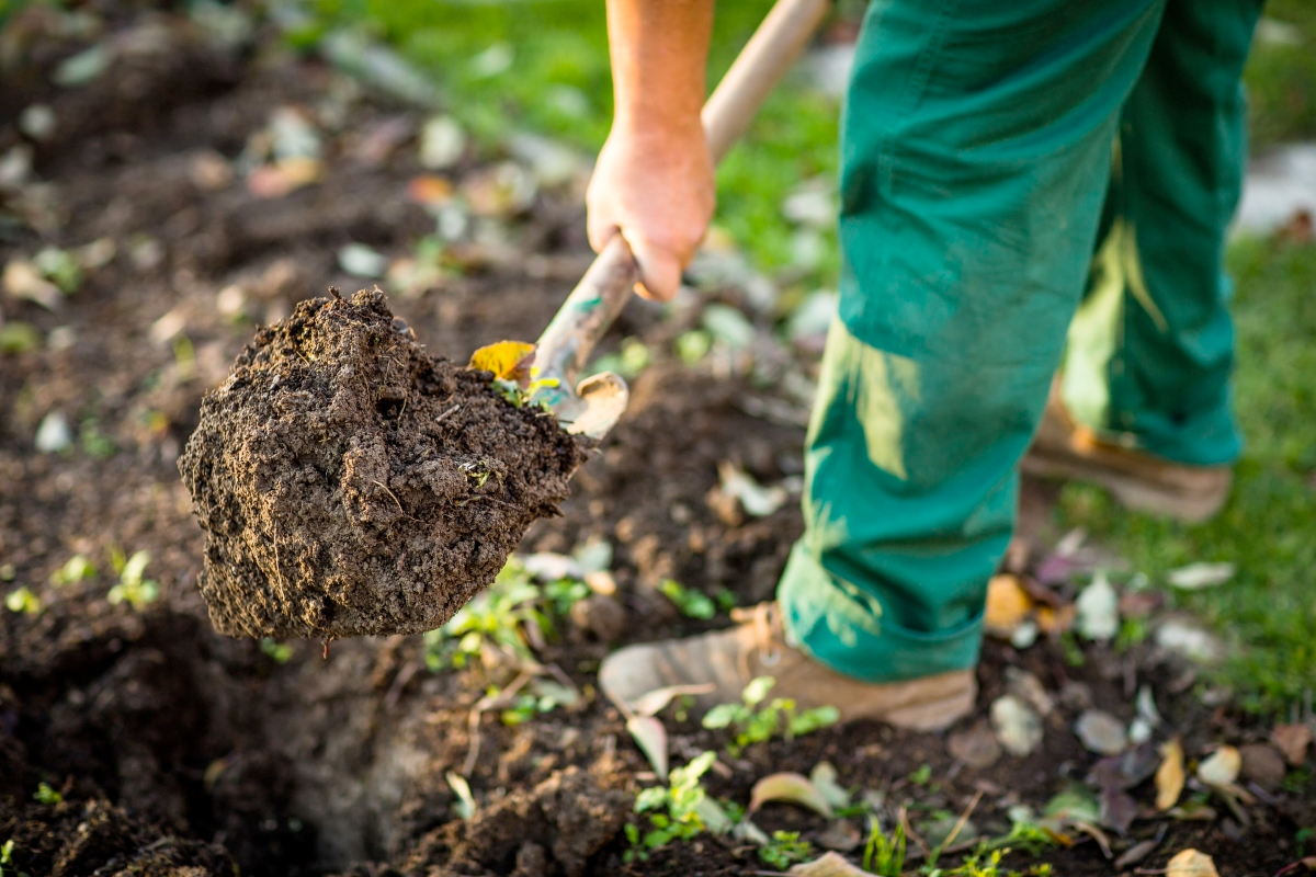 Moestuin kleigrond verbeteren