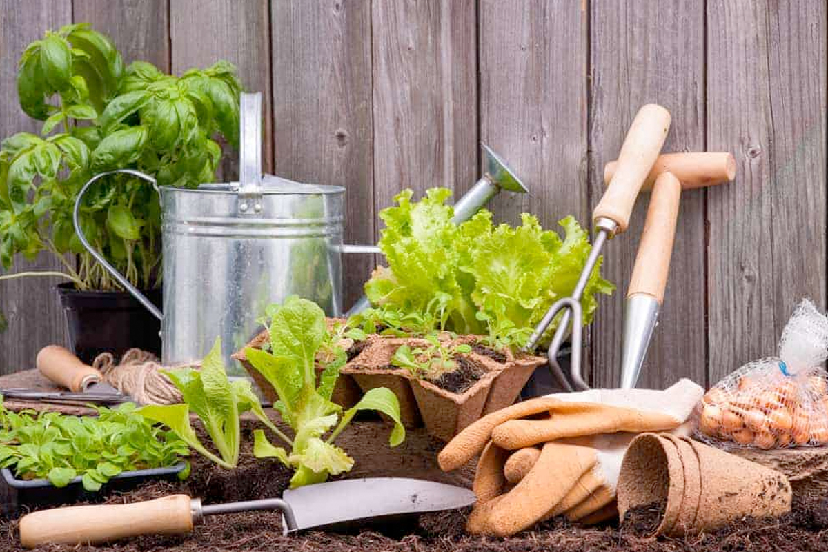 Moestuin spullen kopen