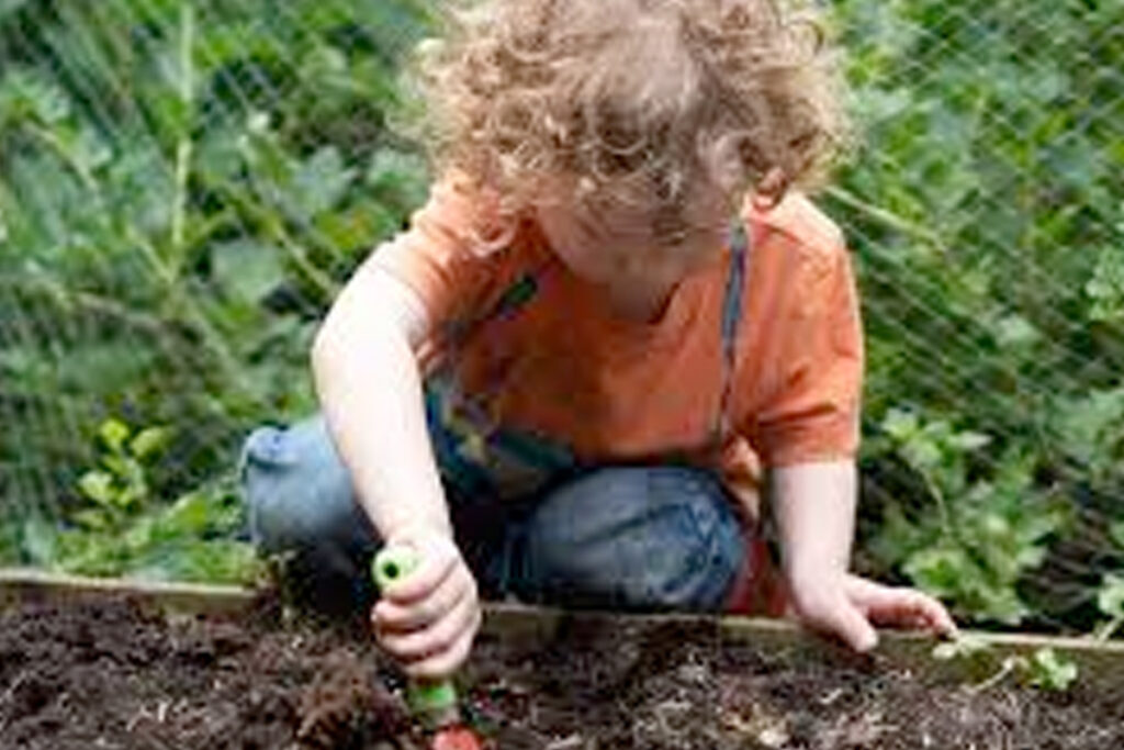 Moestuin voor peuters