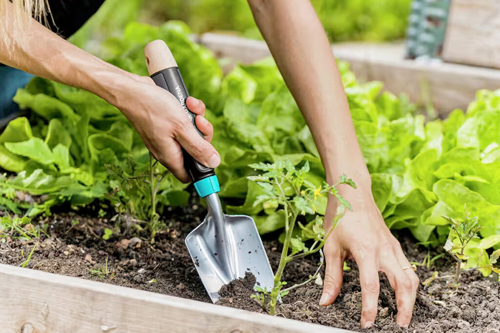 Onkruid in moestuin laten staan