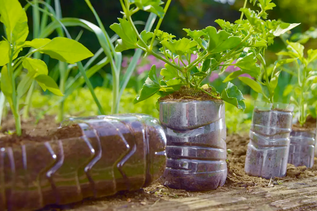 Plastic flessen moestuin