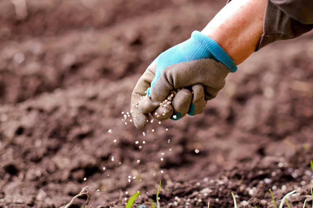 Zaadjes bestellen voor de moestuin