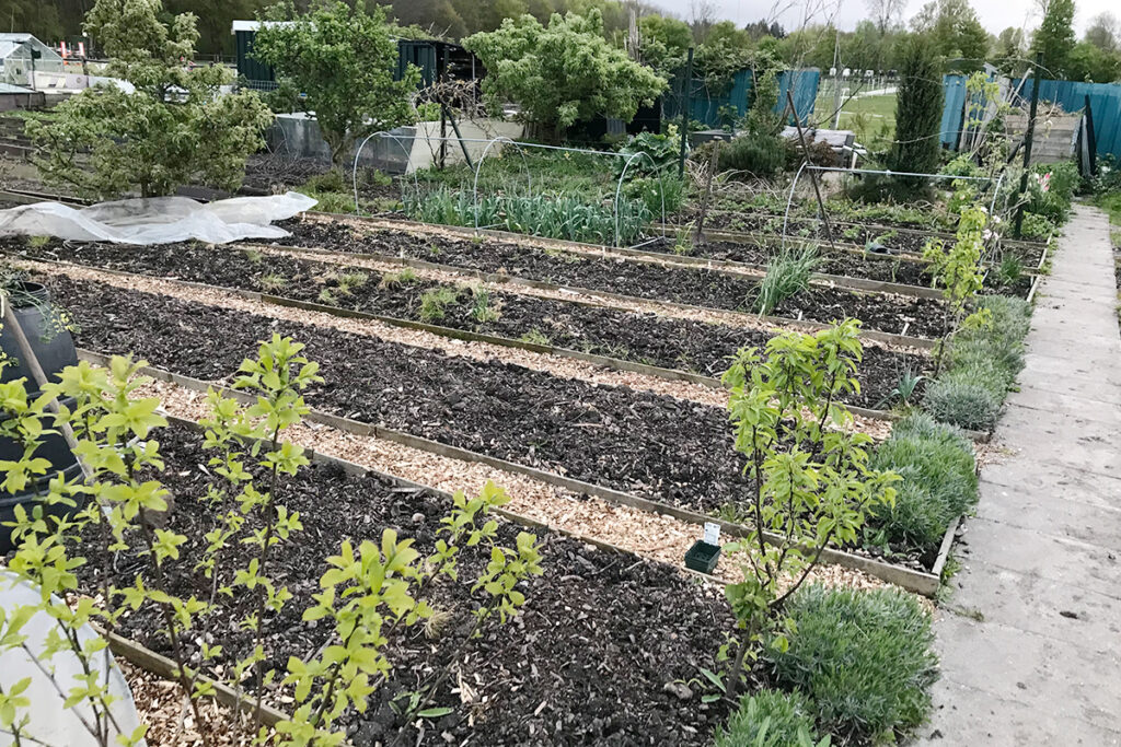 Een moestuin over ons