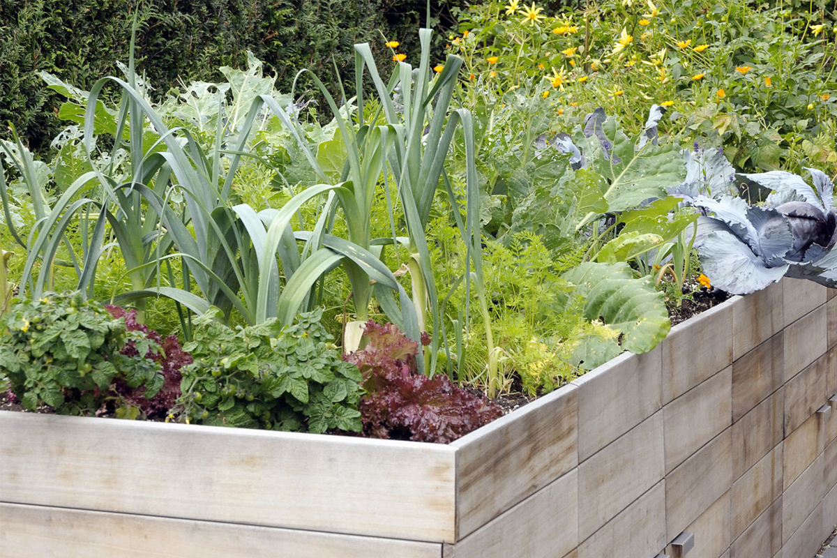 Groentetuin aanleggen