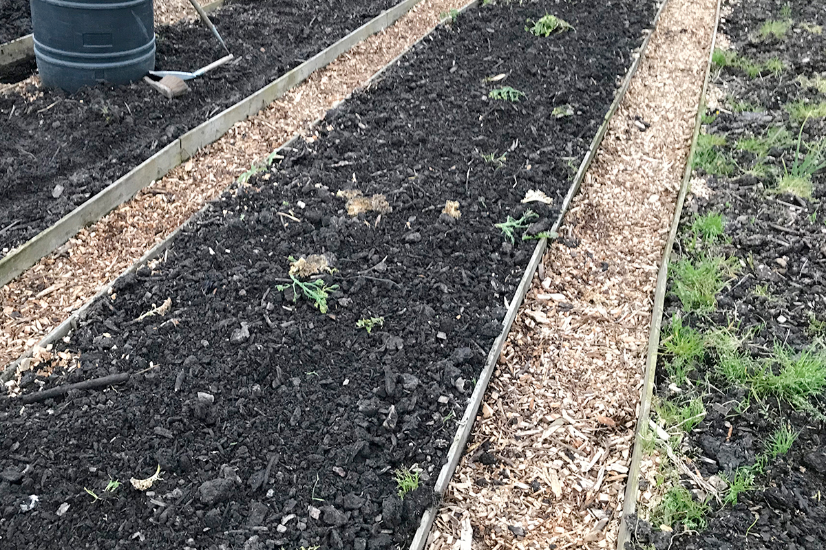 moestuin paden aanleggen