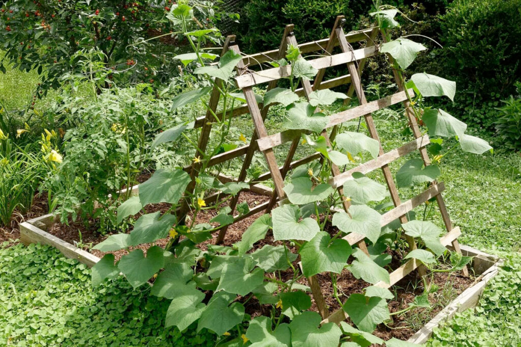 verticale groentetuin