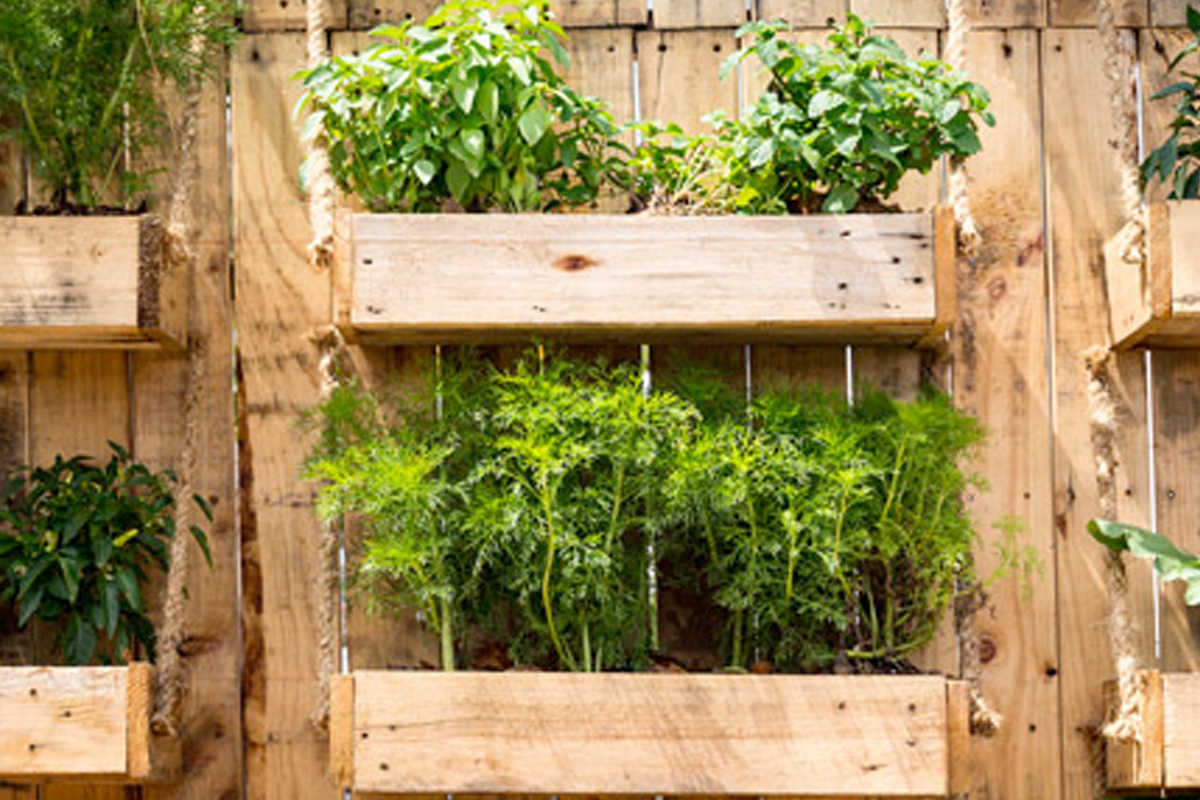 verticale moestuin aanleggen
