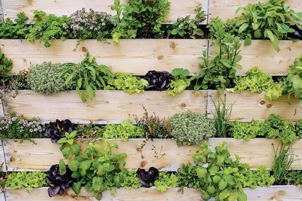 verticale moestuin aanleggen