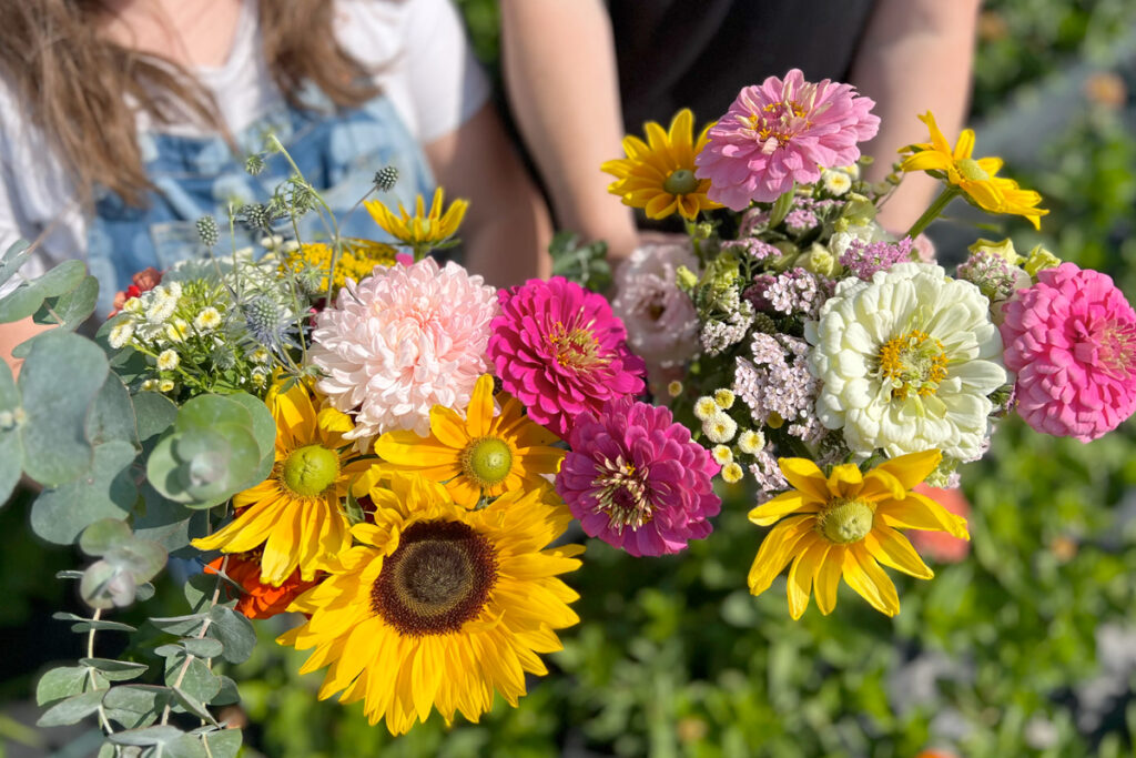 Wat zijn mooie plukbloemen
