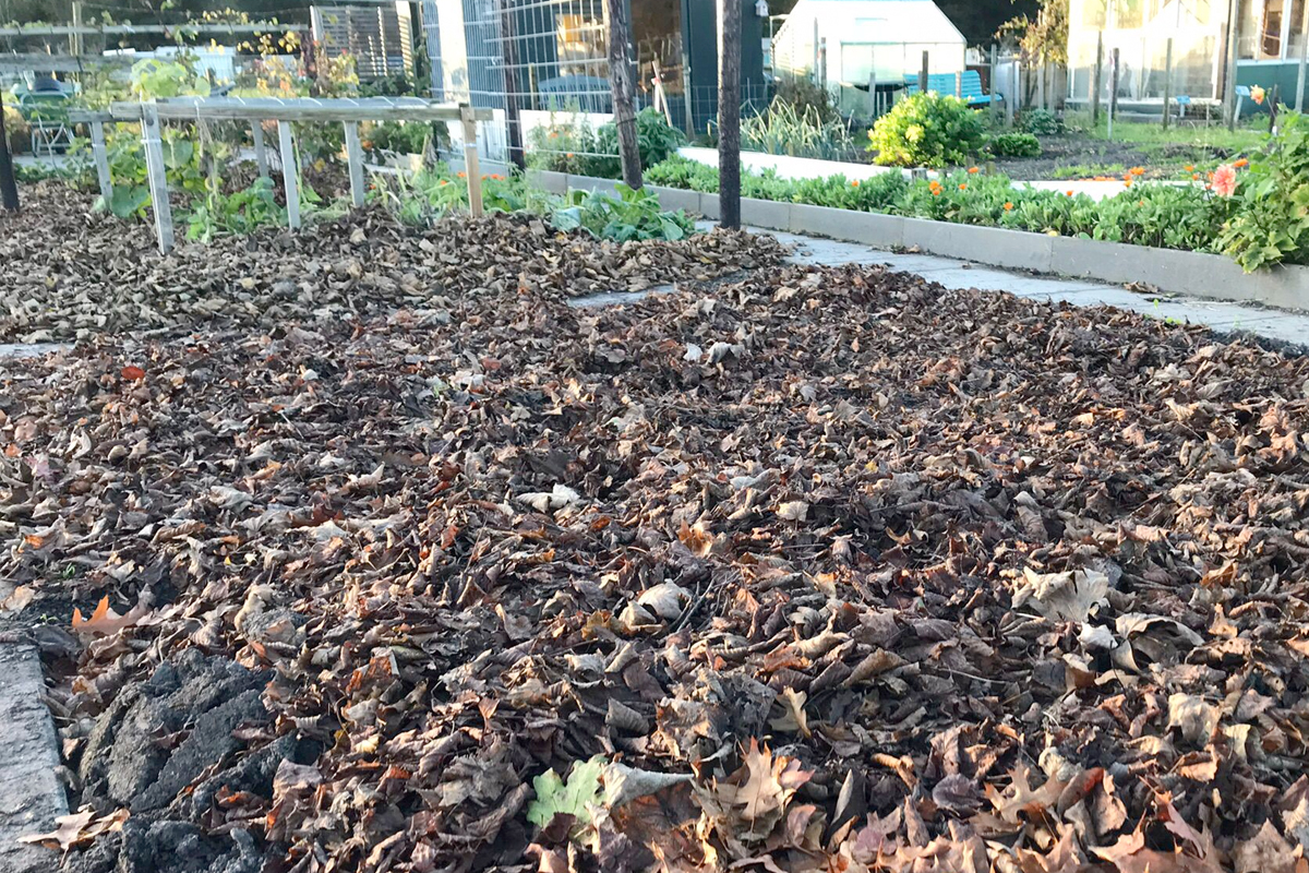 Hoe maak ik zelf mulch