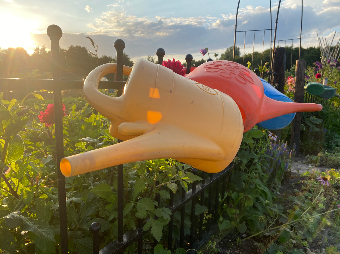 Kunststof gieter kopen