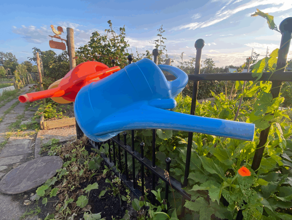 Kunststof gieter kopen