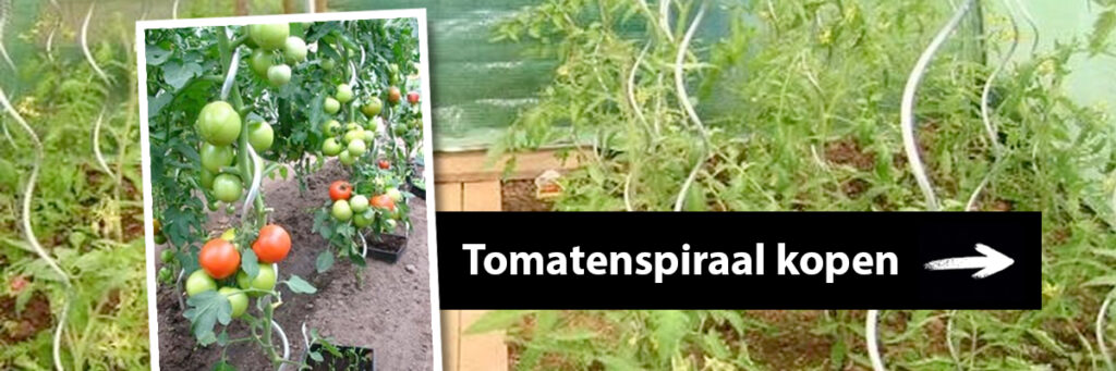 tomatenspiraal kopen