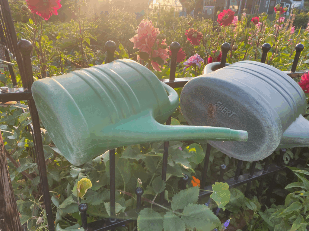 Waar kun je een gieter bestellen