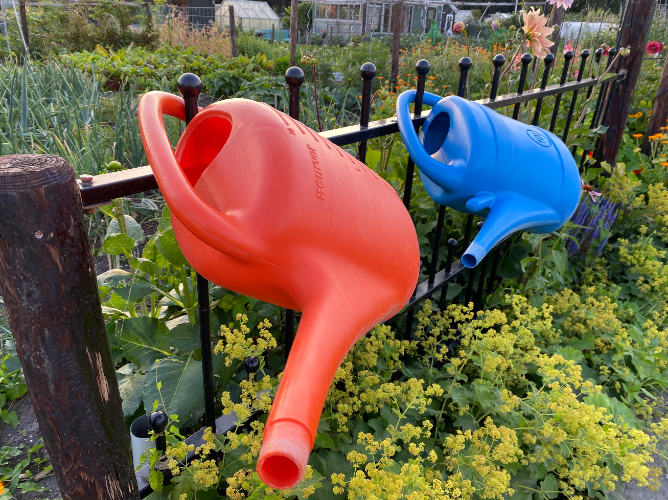 Waar kun je een gieter kopen