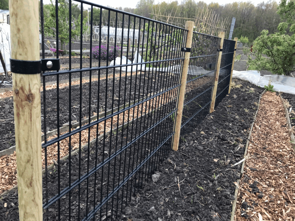 Klimrek voor fruitstruiken kopen