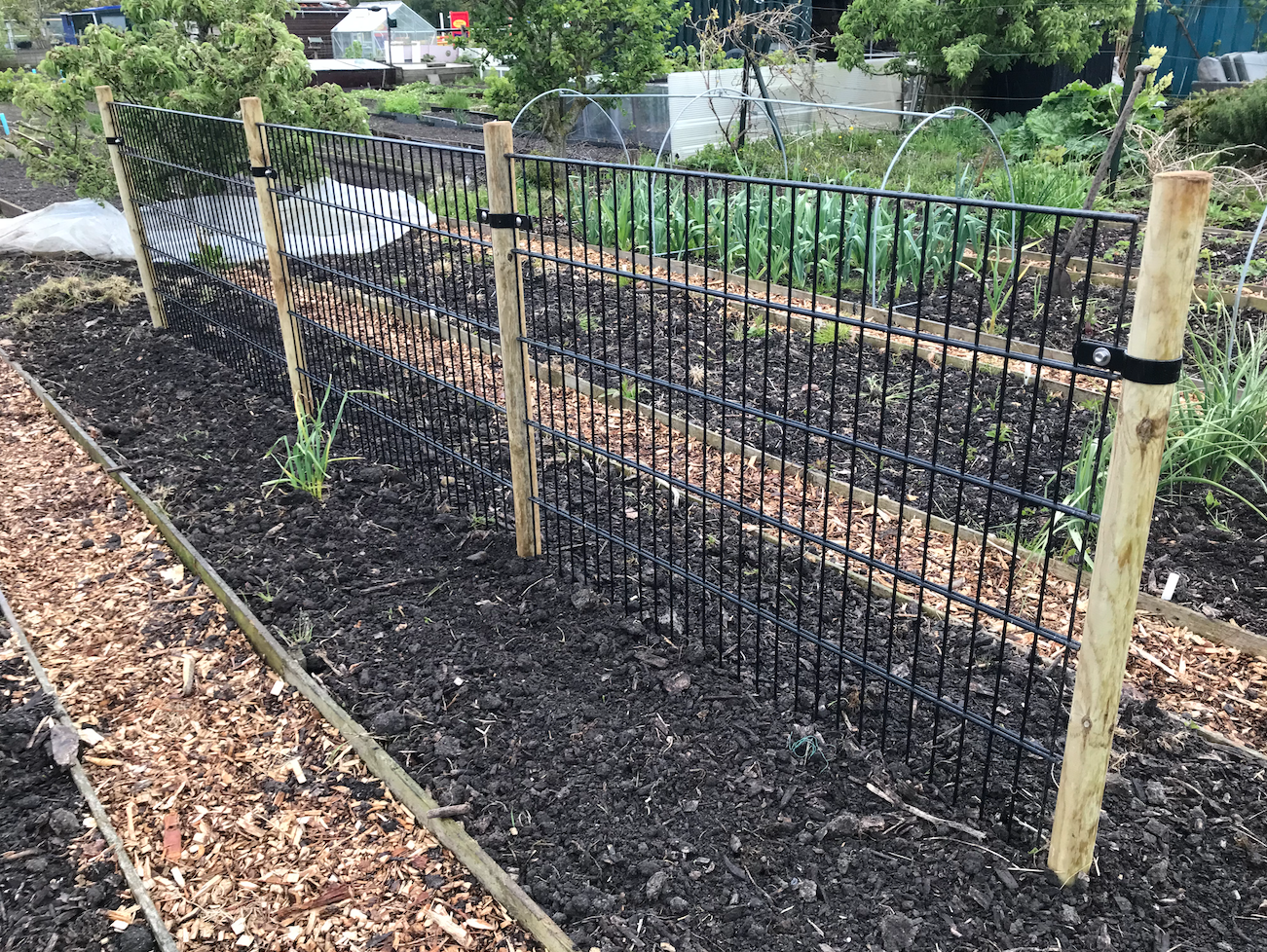 Klimrek voor fruitstruiken kopen