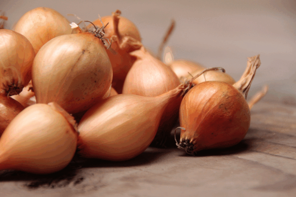 Wat is de beste maand om plantuien te planten