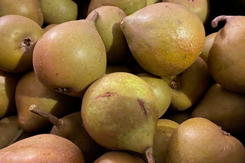 Wanneer is de peren oogst
