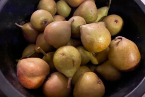 Wanneer is de peren oogst