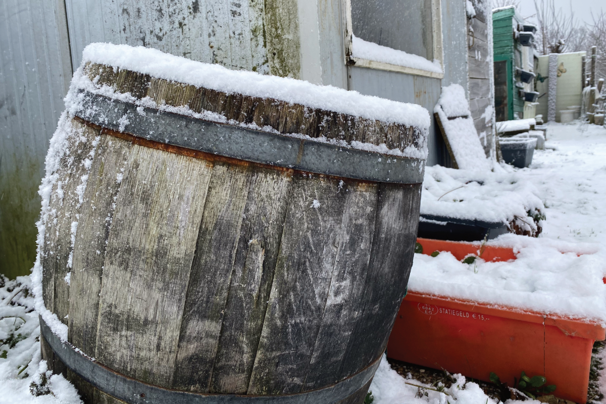Voordelen van een houten regenton