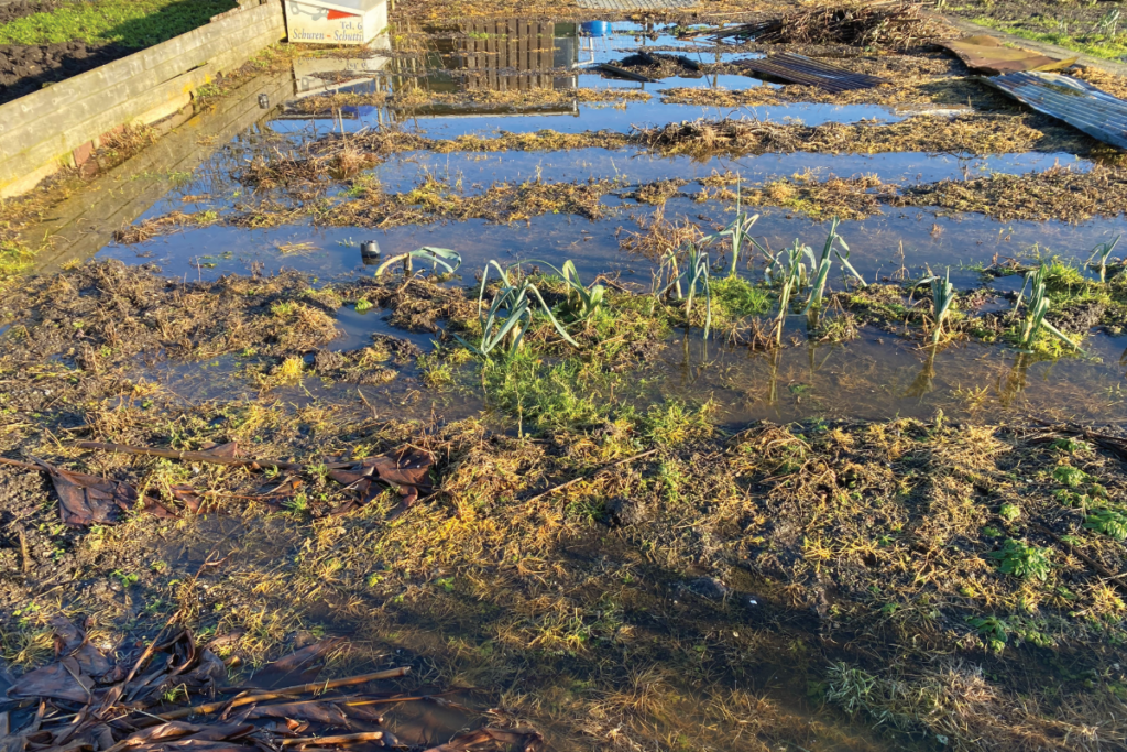 wateroverlast moestuin