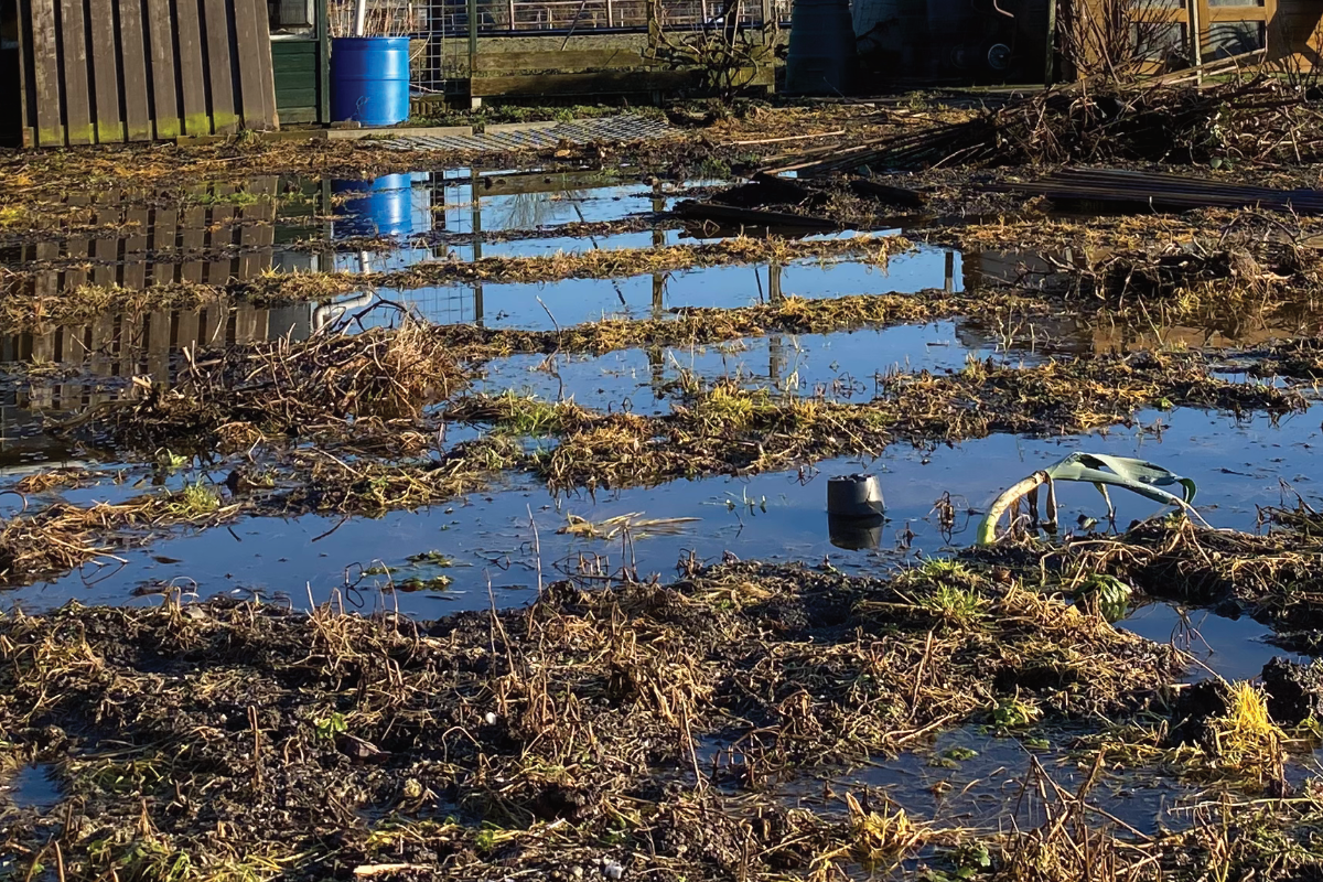 wateroverlast moestuin