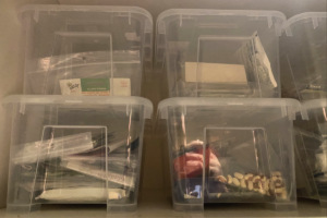 Zaden inventariseren